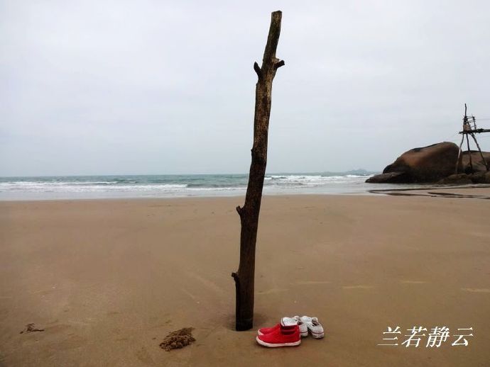 福建省漳州市六鳌镇抽象画廊,漳州六鳌抽象画廊从哪进去免费