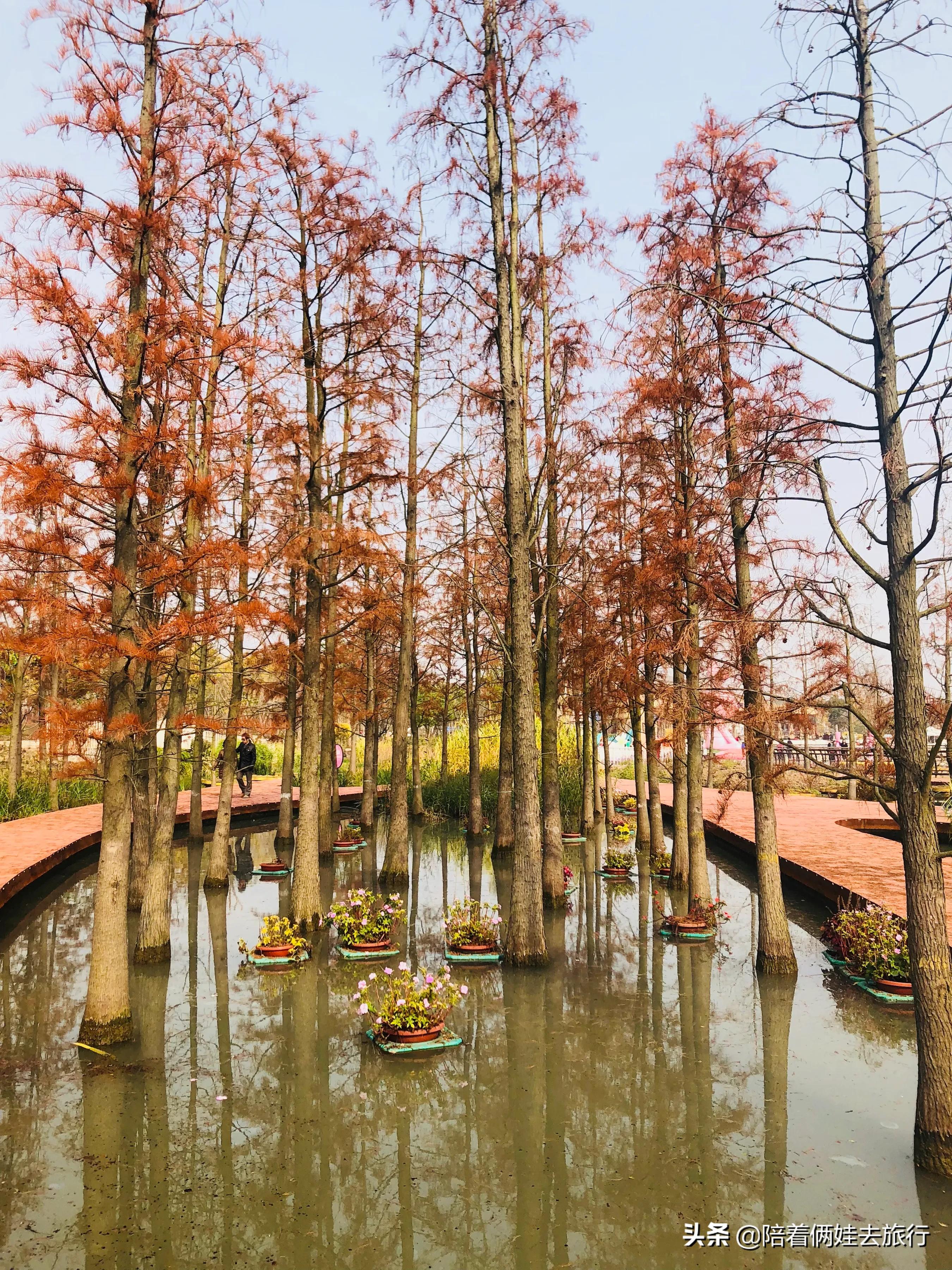 上海浦江郊野公园一日游攻略大全,上海浦江郊野公园奇迹花园地图