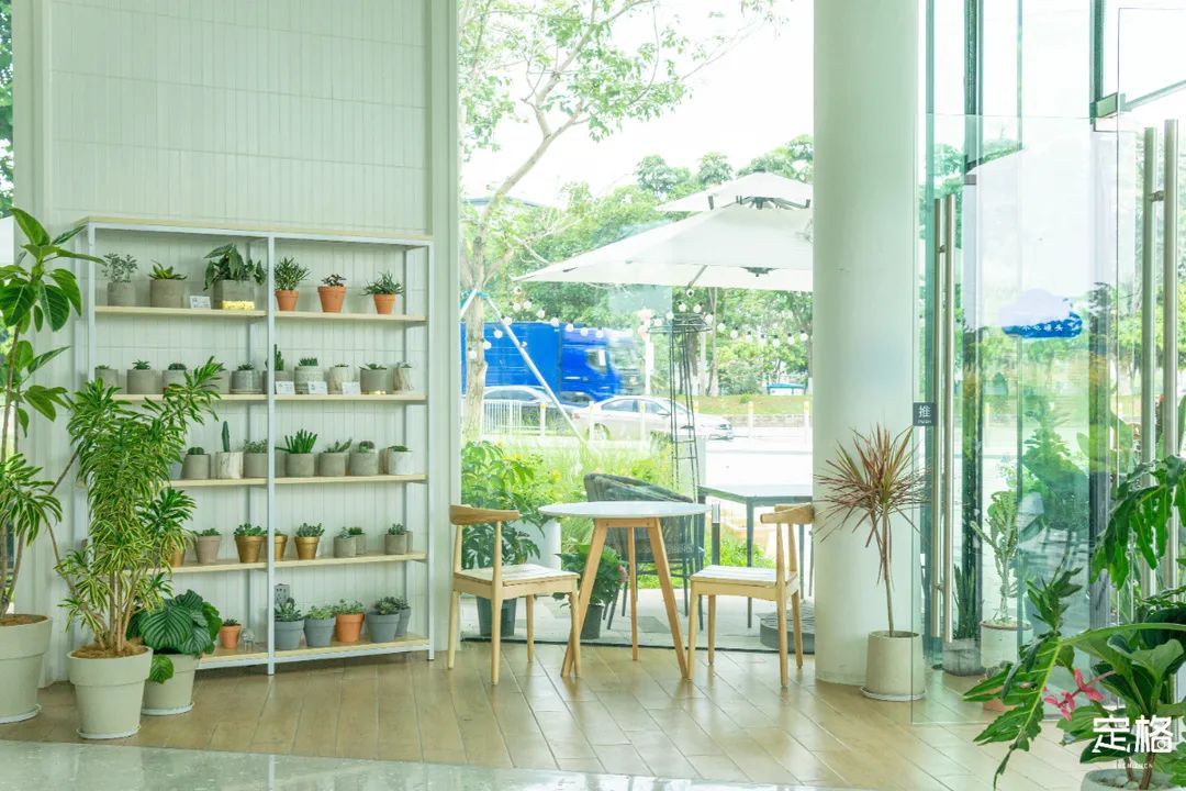 沙井万丰哪里的生蚝好吃,深圳沙井生蚝最出名店