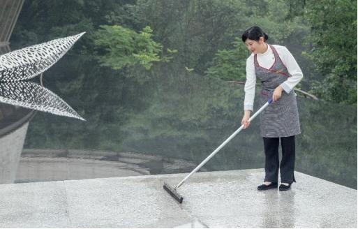 龙湖青云阙和龙湖龙誉城,龙湖龙誉城是哪个房产公司