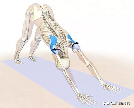 瑜伽18个基本体式,18个瑜伽体式正确图