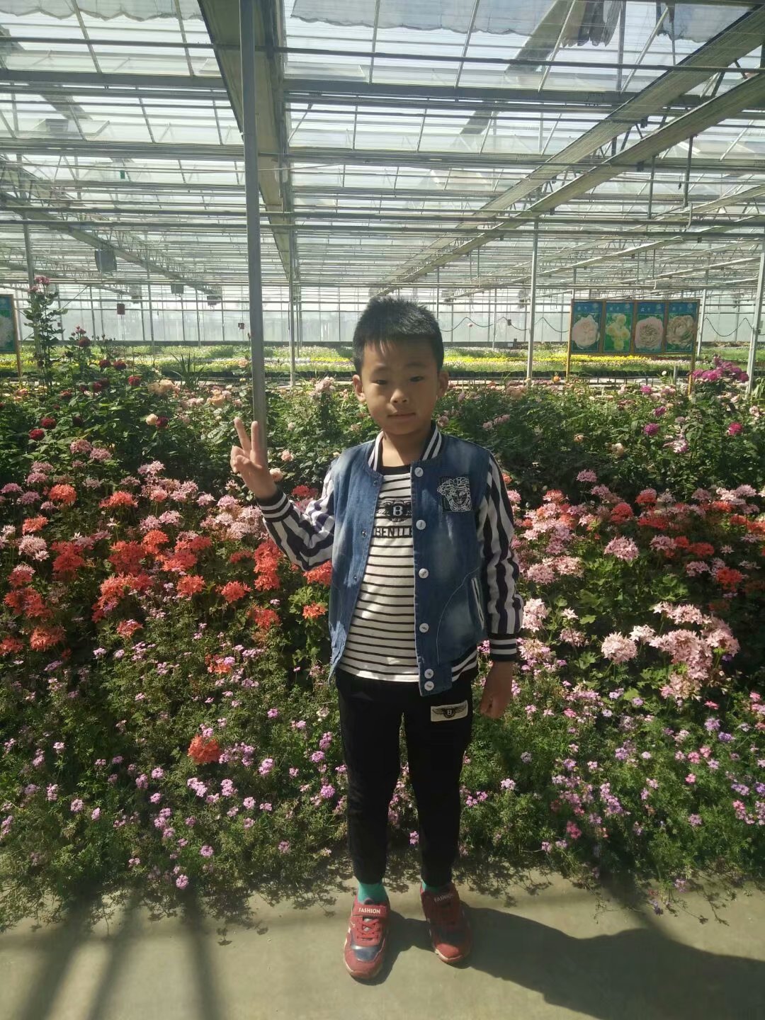 强国梦强军梦征文600字小学生,强国征文小学生600字作文