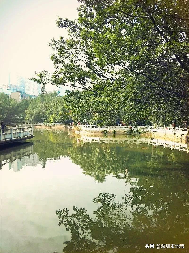 深圳完全免费的十大景点,深圳10大免费景点上集