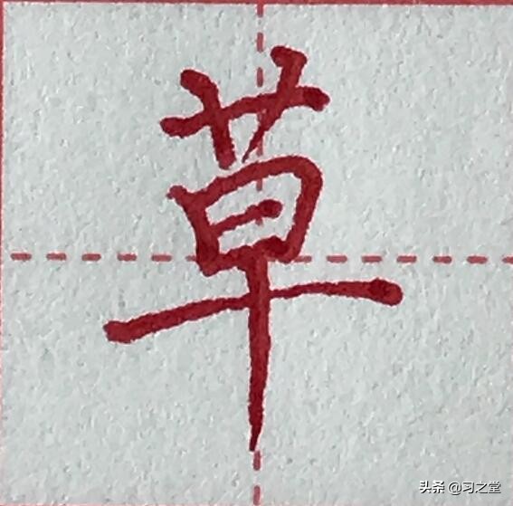 戏说汉字:“我屮艸芔茻”,一句网红吐槽话背后的汉字奇谈