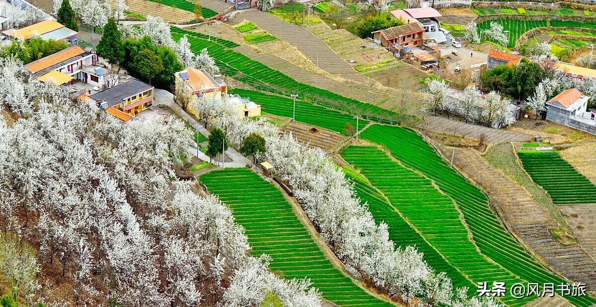 成都出发林芝旅游攻略图,金川梨花节自驾游五日线路图