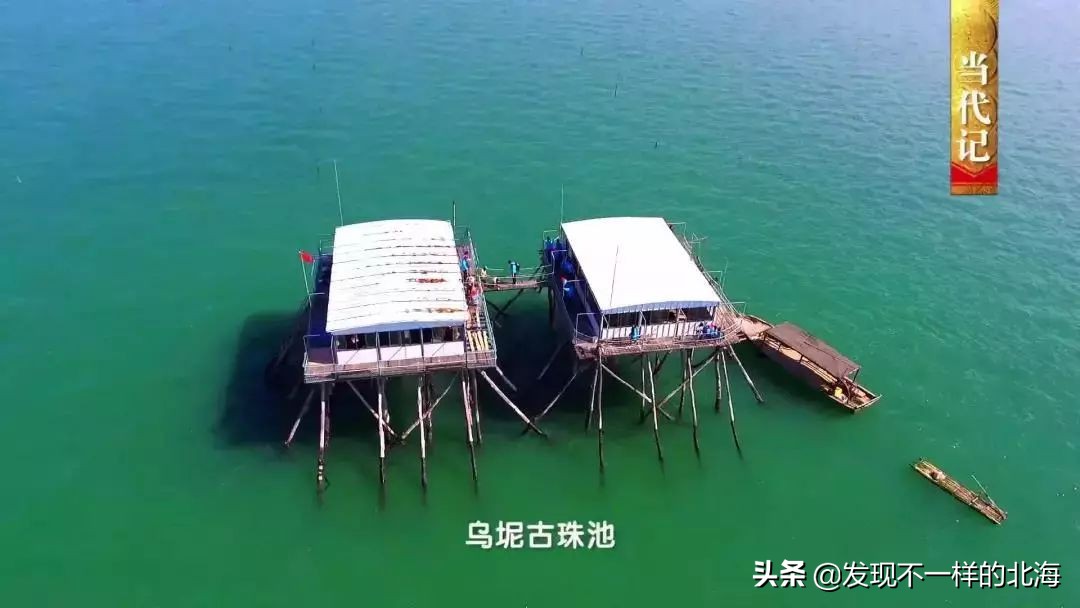 广西合浦是怎么样的?央视是这样全方位介绍这美丽的珠乡的