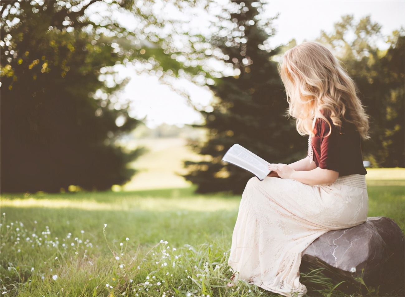 一个家庭强势的女人注定毁三代,一个强势女人给家庭带来的危机