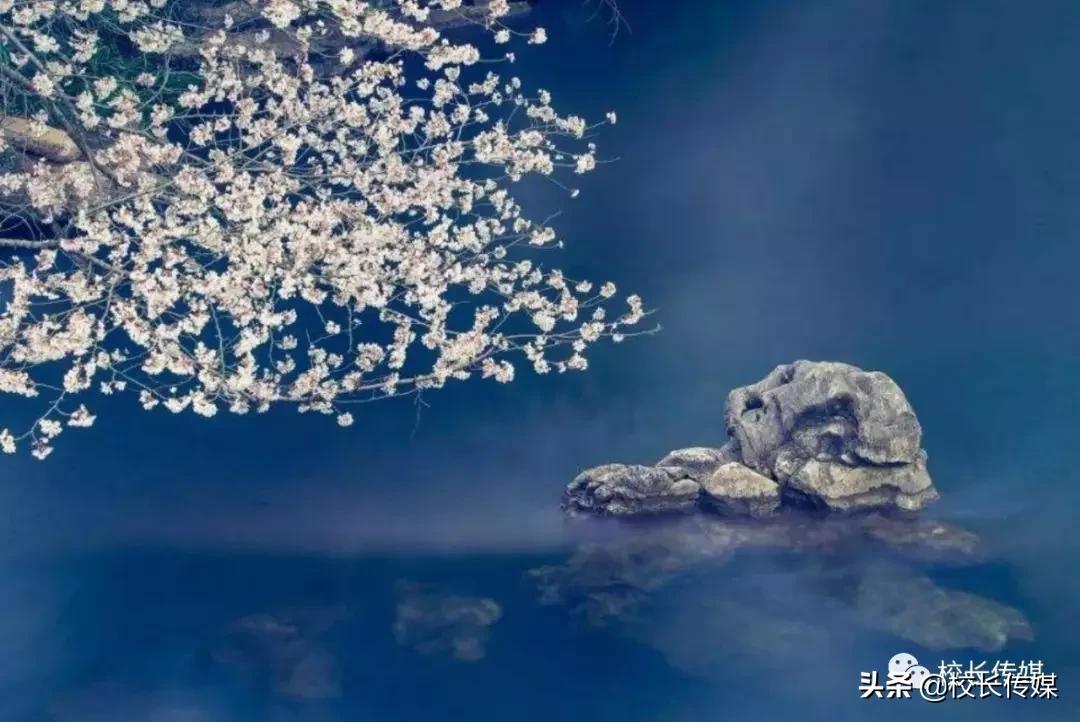 没钱买手机就自杀？比努力更重要的是对逆境保持宽容