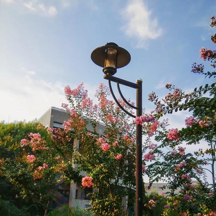 江苏省省长河海大学,江苏省河海大学