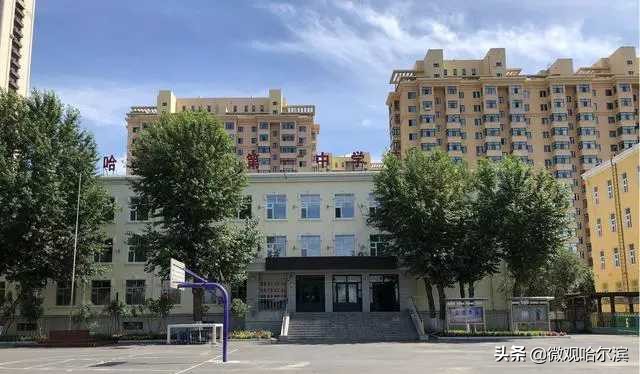 哈尔滨最好的5所大学,2010年哈尔滨考清华名单