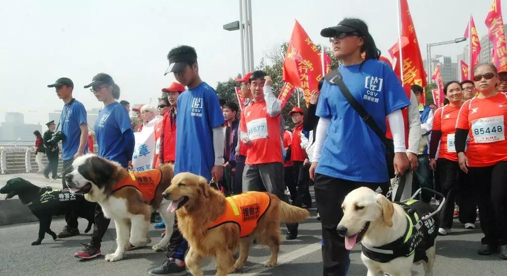 头回跑马，跑的痛苦难受，终点冲刺，感觉要死了