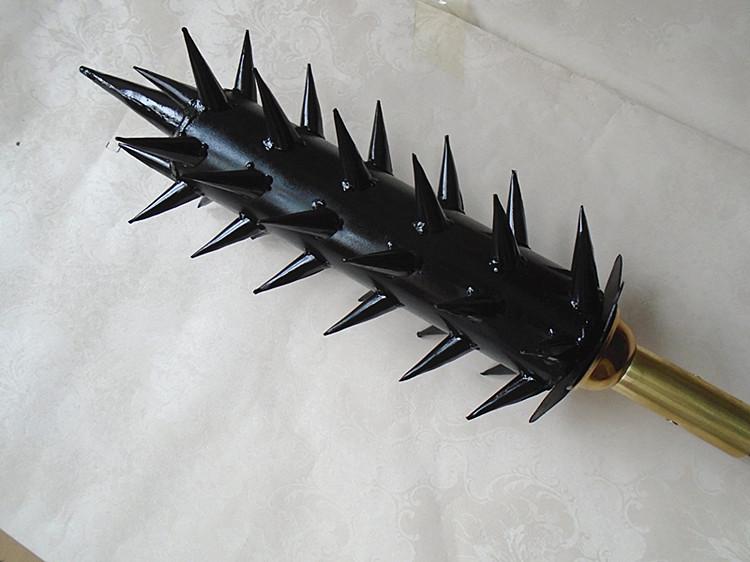 犬科交配闭锁,猫科丁丁*刺长**,为何同一祖先进化出不同交配策略?