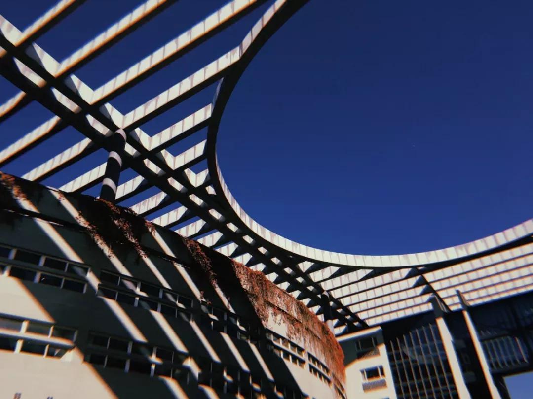 天津普通本科的大学,天津普通高校多少所大学