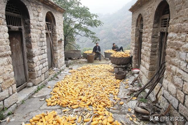 征歌展播:《唱井陉》(宋海波词,冀文飞曲,时丽丽演唱)