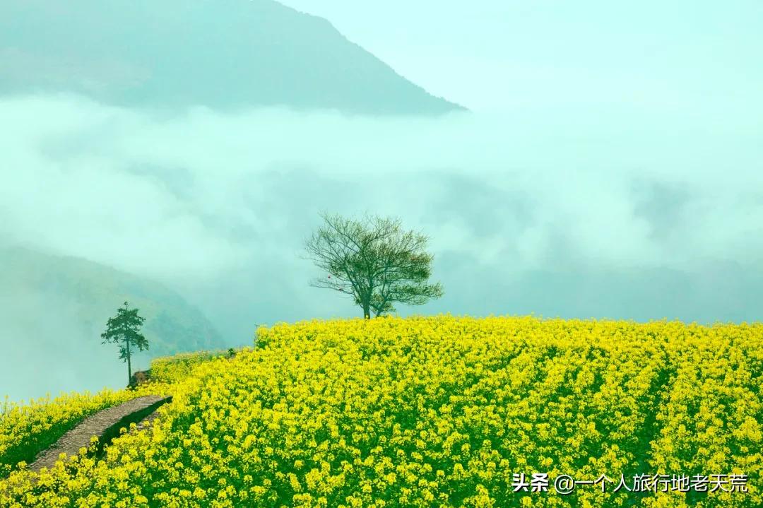 我国唯一能用欧元的城市,我国唯一可以使用欧元的小镇