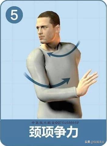 颈椎操每天10分钟颈椎好轻松,每天10分钟颈椎操让您远离颈椎病