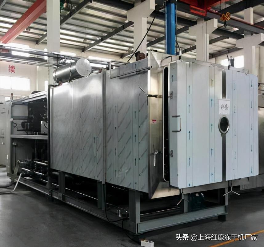 制药冷冻干燥机技术,羊胎素冻干机技术服务