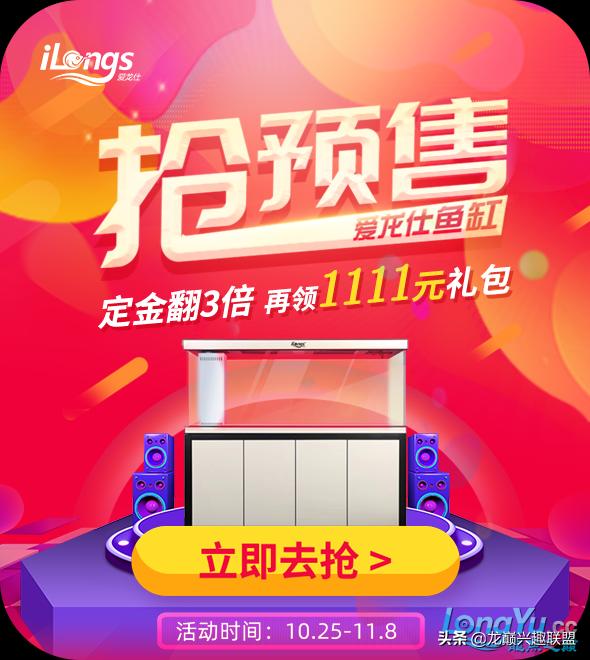 垃圾桶旁边的四方鱼缸,捡回去养了一缸金鱼,别说还挺不错