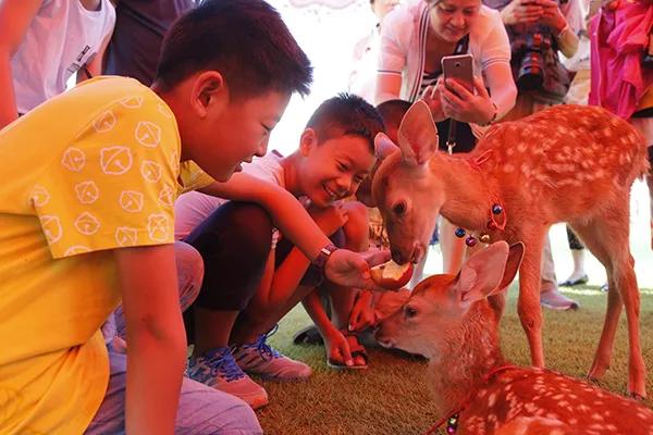长春市扩充城区范围,长春市双阳区发展前景