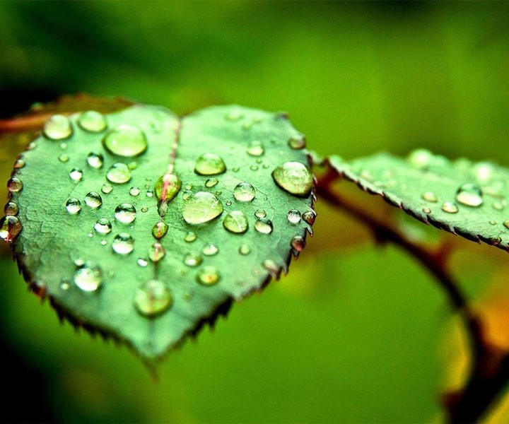 积极的情绪给人带来的好处,一个稳定的情绪和良好的态度