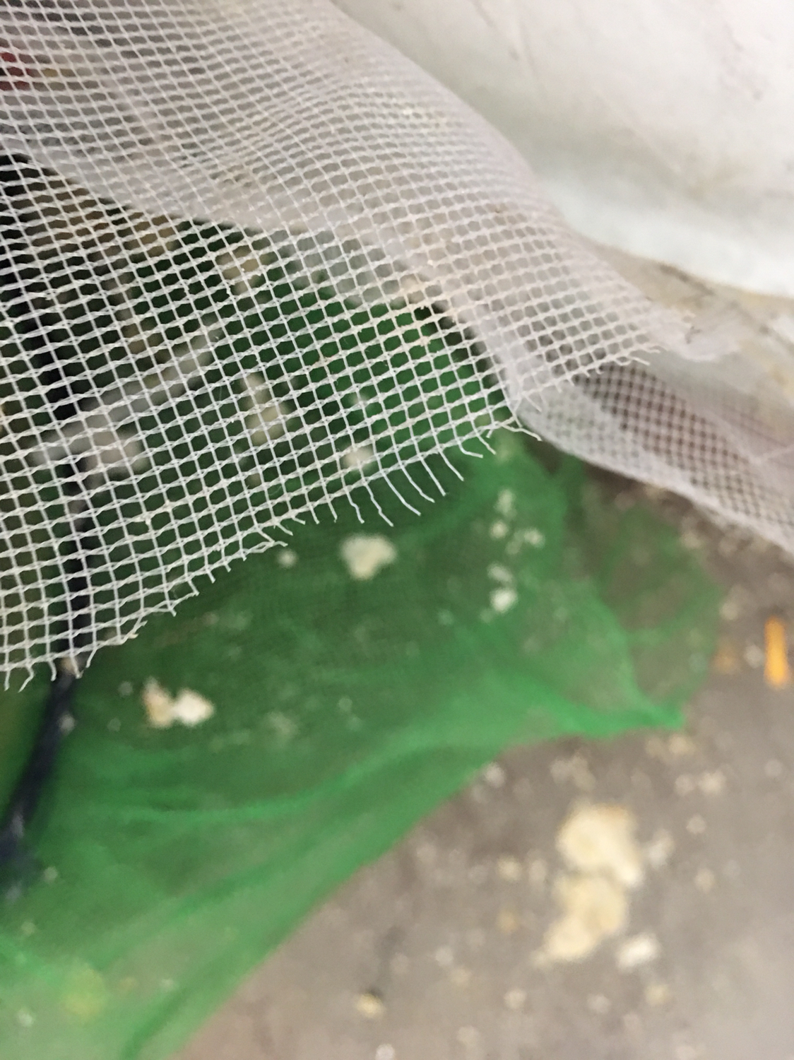 花盆排水孔堵塞的处理方法,花盆排水孔大怎么解决