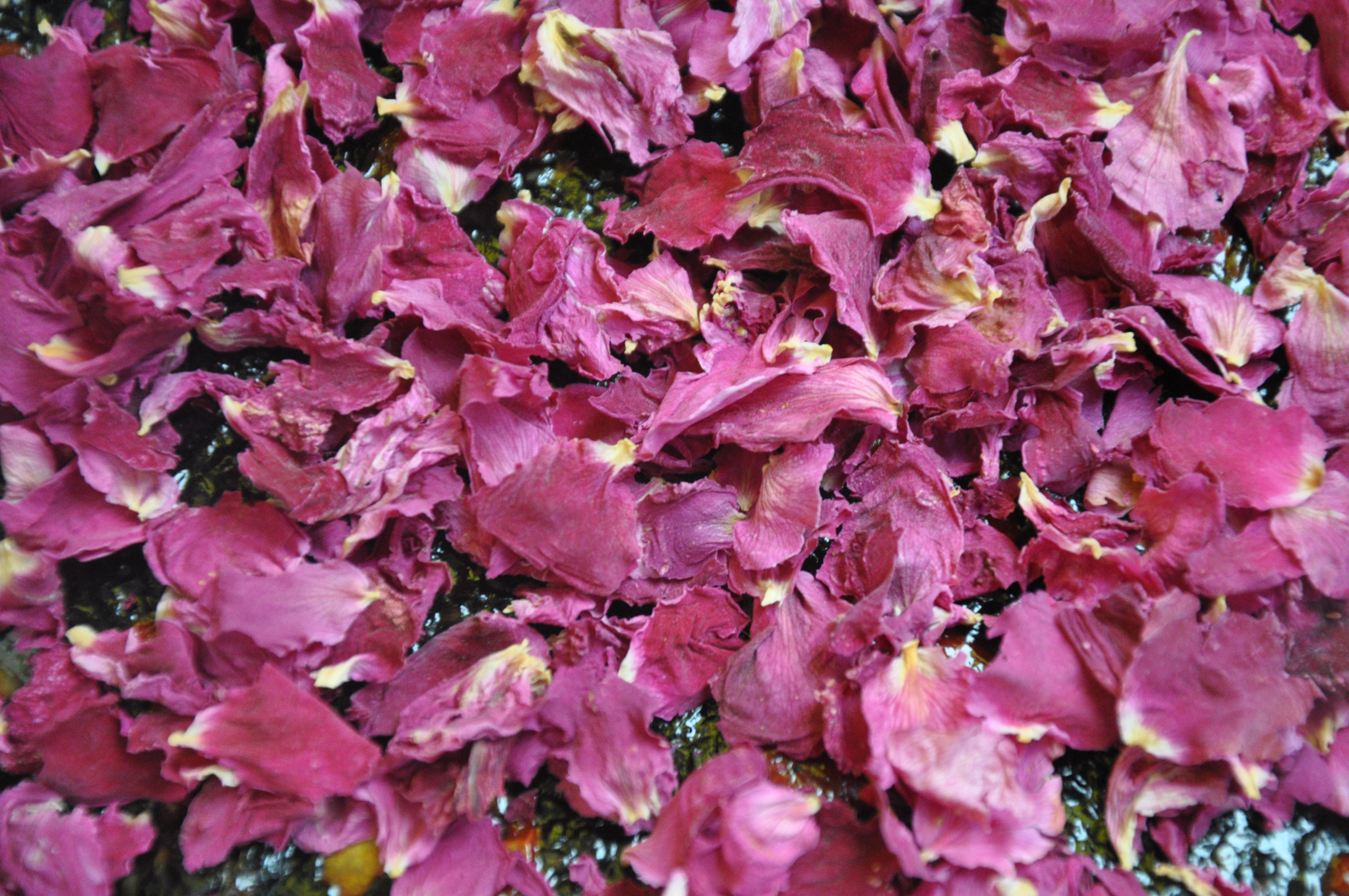 简单四招，教你辨识好阿胶！