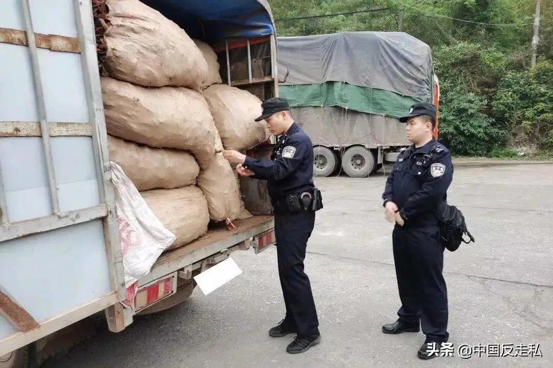 国门利剑打击走私专项行动,国门利剑2021行动总结