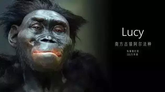 自然环境对人类的起源进化史,人类与环境的发展历史