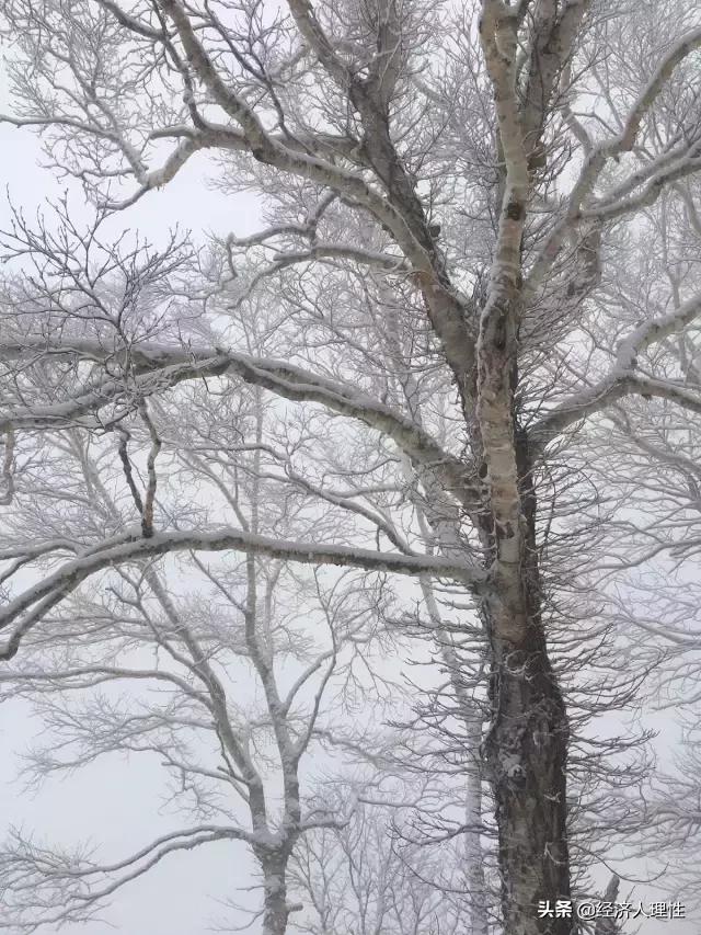 一位旅日游客,4天时间,万字长文,记录思考日本社会的崛起背后