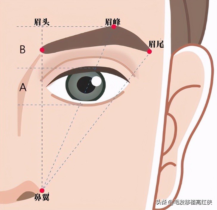 高红侠医生在哪里坐诊,高红侠医生