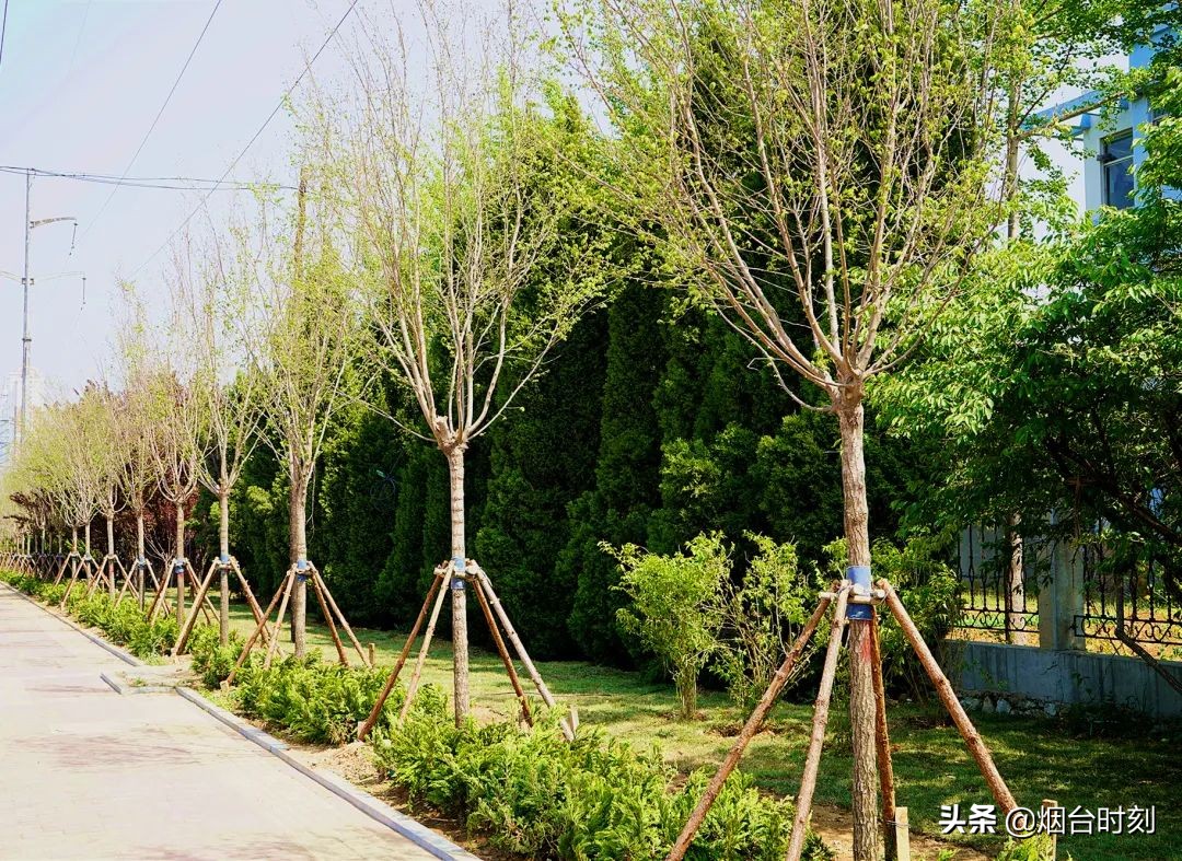 兰州民生工程最新进展,重点民生项目进展清单