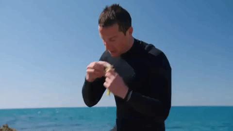 日本秃头猴子吃鱼10个月生发成功，脱发网友求购买链接