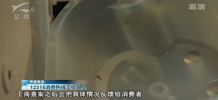 饮水机里全是蟑螂,饮水机里有蟑螂的处理方法