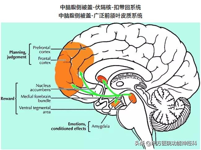 精神病人的前世,精神科药物的前世今生