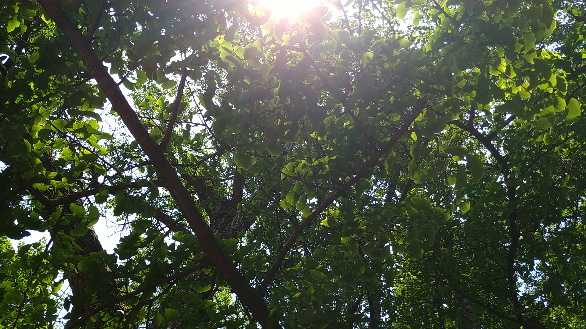 一个旅居者眼中的杭州：似水流年捕捉那四时光阴，美是记得