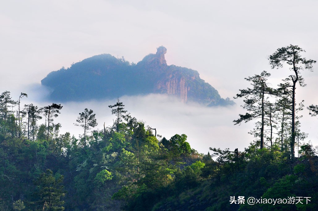 全国5*级A**旅游景区最新门票价格（福建篇）