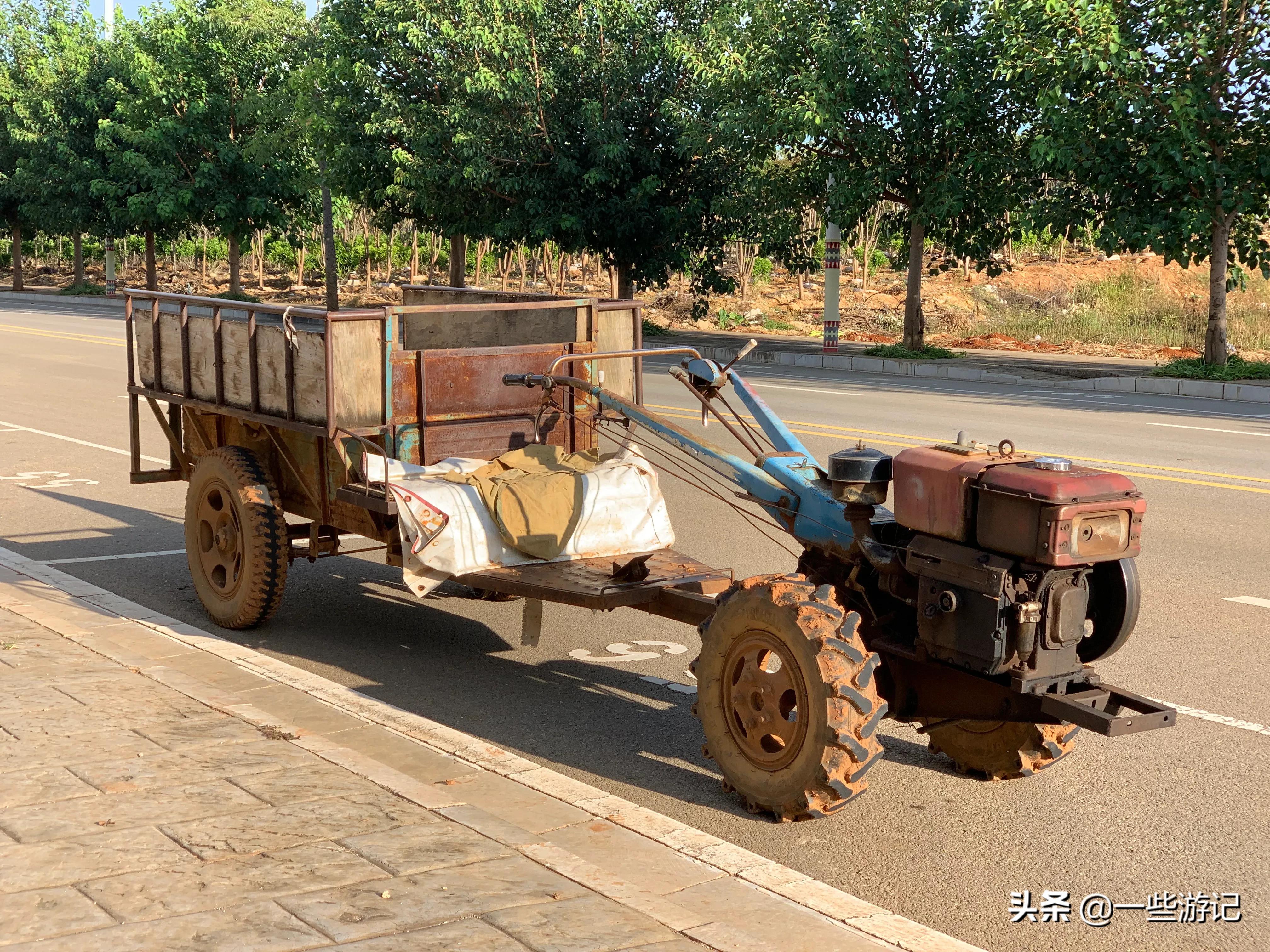 蒙自尼苏小镇大屯海蓝花楹,蒙自大屯海尼苏小镇