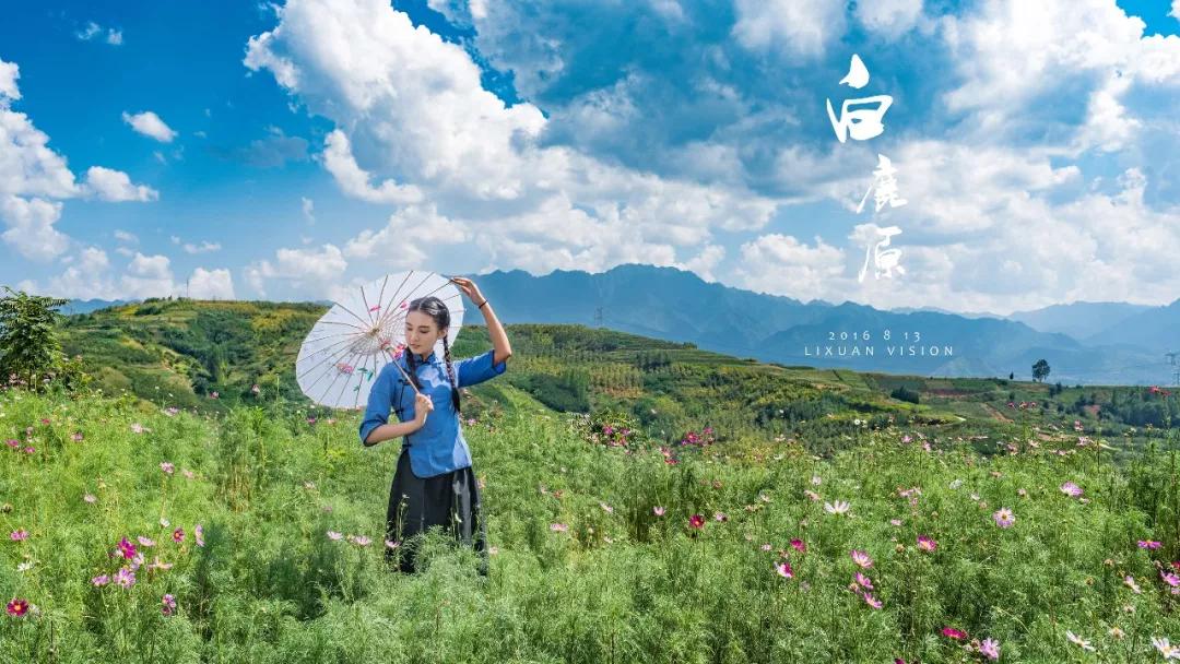 西安的春天到底有多美？我要打包送给你