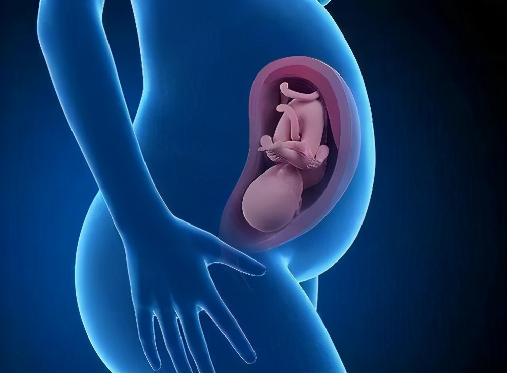 女性晨起第一泡尿是怎么回事,女性早晨第一泡尿