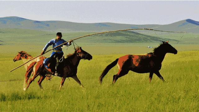 草原天路自驾游攻略最新,天路塞罕坝乌兰布统