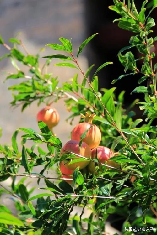 真实故事时光一去不复返,真实故事之无法回头