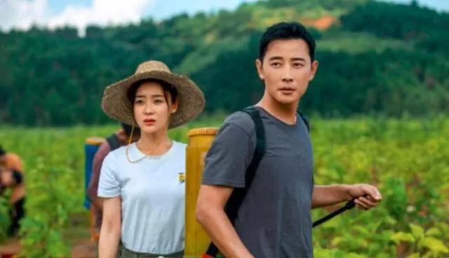 赵丽颖希望的田野什么时候杀青的,赵丽颖新剧杀青照