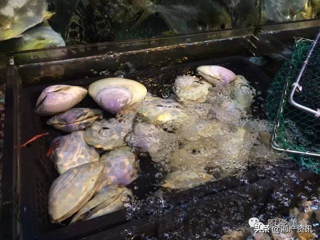 这些诱人的美食你吃过吗,世界上顶级海鲜大全你吃过几种