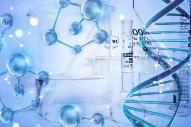 干细胞脐带血功效,scm脐带血干细胞水光真假测评