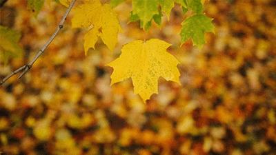 上千家招聘会,甘肃兰州市大型招聘会