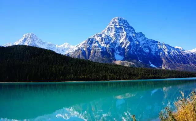 加拿大旅游攻略小视频,加拿大旅游攻略14天多少钱