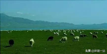 新疆十八怪讲解,新疆十八怪全集电影