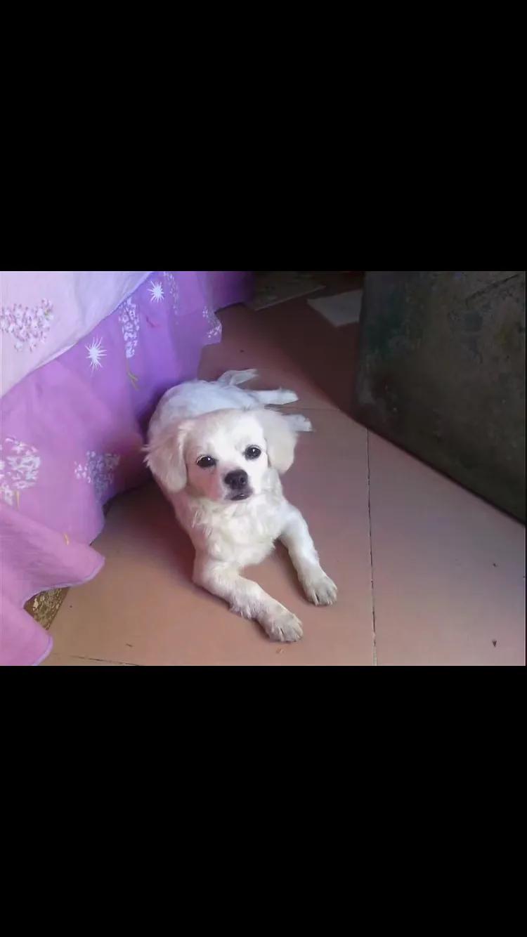 母亲与咪咪的情缘