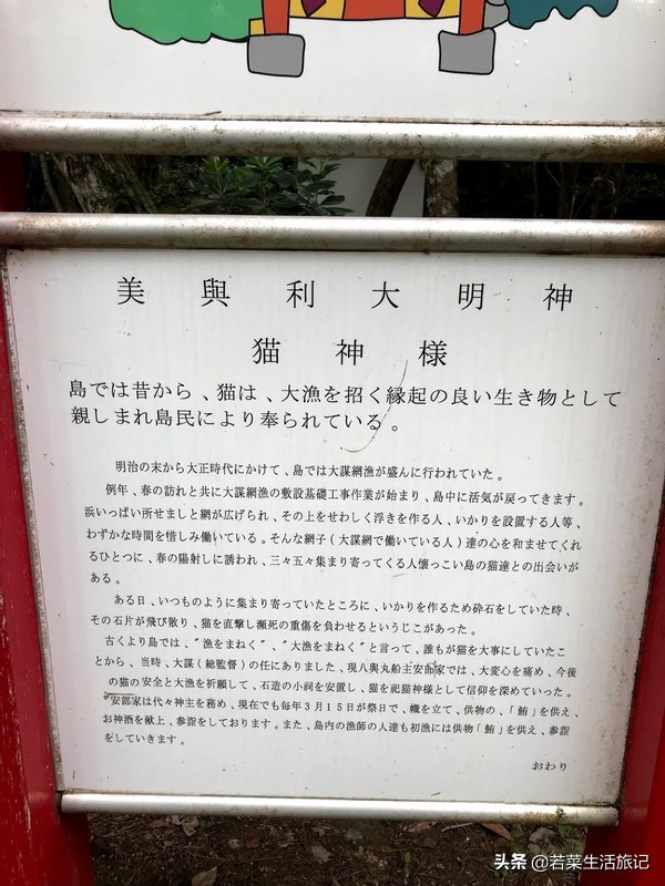 猫奴们都想去的圣地日本的猫岛,日本猫岛猫咪