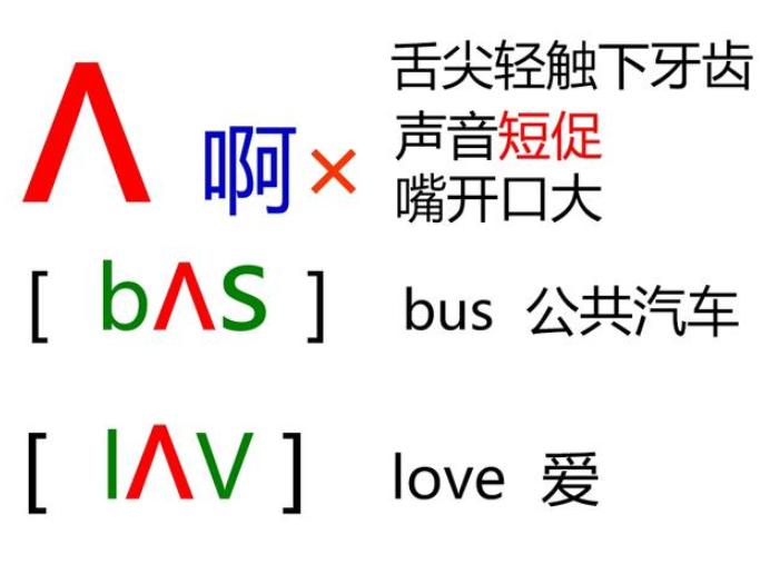 48个音标怎样学习英语从零开始,英语48个国际音标外国人教